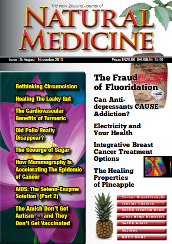 The New Zealand Journal of Natural Medicine Issue 22 Natural Medicine