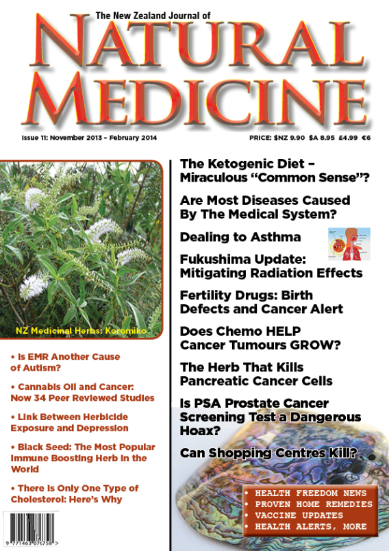 The New Zealand Journal of Natural Medicine Issue 22 Natural Medicine