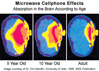 Is wireless radiation safe? Two presentations by experts in this field