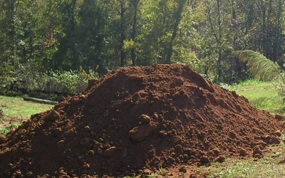 Interested in health?  See the movie Dirt for free…