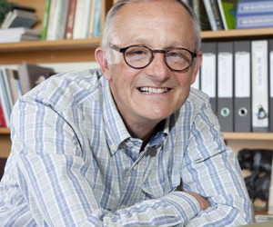 Auckland Council Accused of Putting Public at Risk