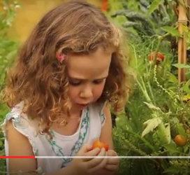 “S.O.S: Save Our Seeds” Update April 21, 2016
