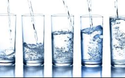 Local Council and DHB Elections and the Fluoride Issue