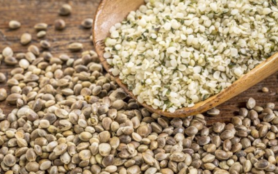Hemp foods coming to NZ in 2018