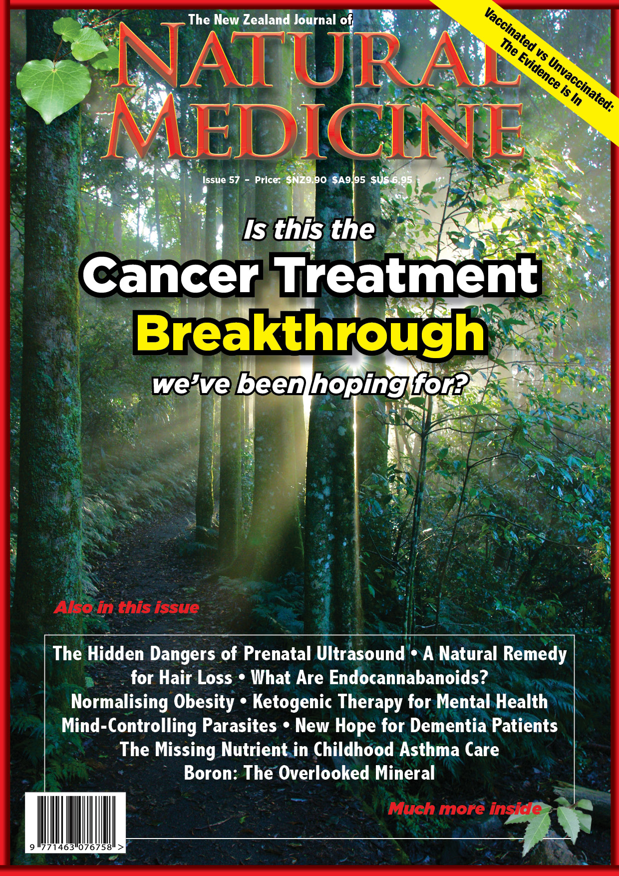 The NZ Journal of Natural Medicine cover image