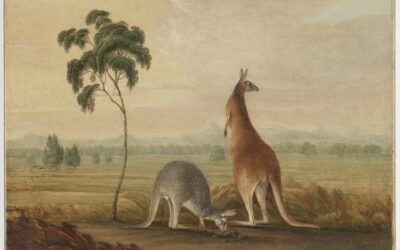 Notice to Australian customers